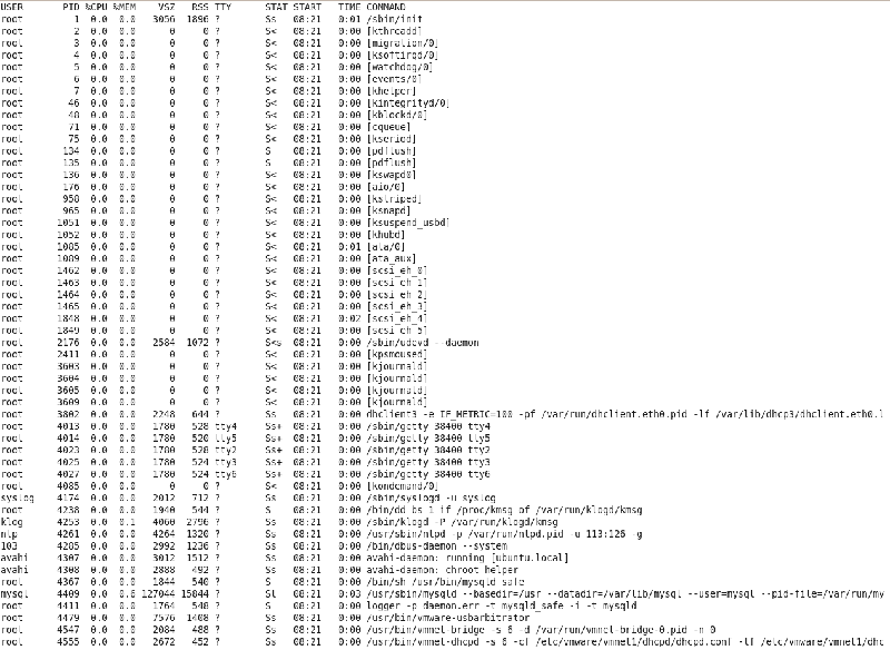 Linux running processes displayed using ps -uax command